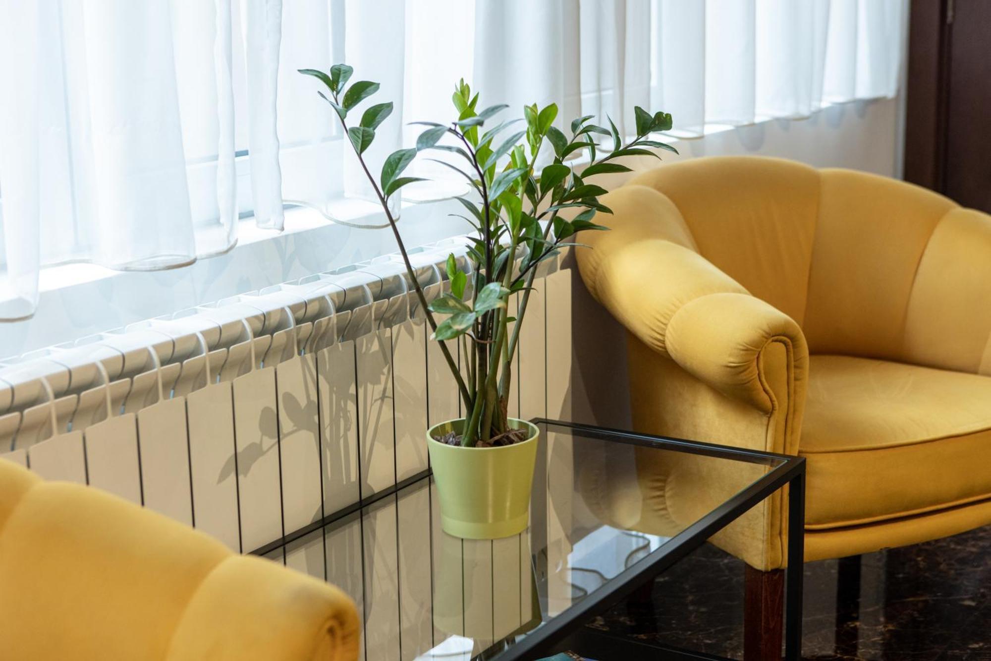 Garni House 46 Plus Belgrad Dış mekan fotoğraf